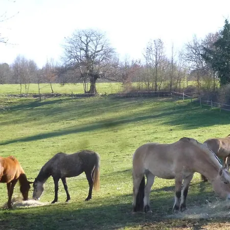 Gite Lamarmette, Tout Confort, Calme , Piscine Privative, Borne Ve, Naturisme Nyaraló Lanquais