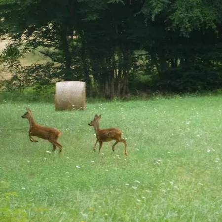 Σπίτι διακοπών Lamarmette, Calme Et Confort, Piscine Privative, Borne Ve